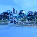      2016