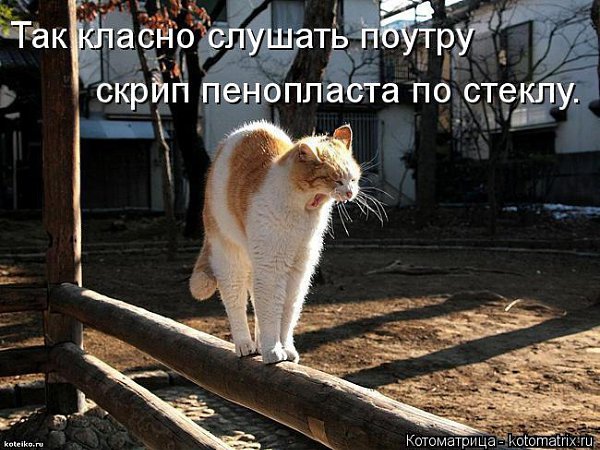 И зачем меня было на ходу из маршрутки выбрасывать? Сидела себе тихо у окна, никому не мешала, ...