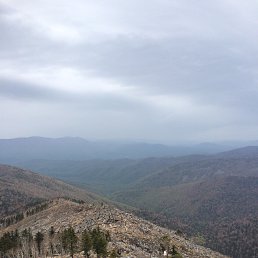 ���� �����, �����������, 39 ��� - ��������� 18 ��� 2016