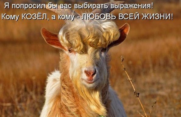    -:  ,   ,   - ...