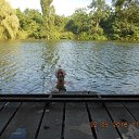 ���� ������, ��������, 54 ���� - ��������� 12 ���� 2016 � ������ ������� 2016�