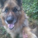 ���� �������, ����������� - ��������� 7 ���� 2016 � ������ ���� ����������