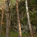 ���� ���, ������������, 46 ��� - ��������� 22 ��� 2016 � ������ �������� 2�