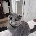 ���� ����, ������, 45 ��� - ��������� 14 ����� 2016 � ������ ���� ����������