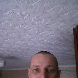 ���� �����, ����-�����������, 40 ��� - ��������� 15 ����� 2016