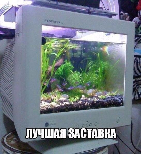 Присоединяйся в наши ряды!) https://fotostrana.ru/public/341843/