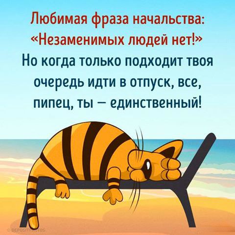 .https://fotostrana.ru/away?to=/sl/kxC2 - 4  2016  12:48