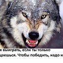 ���� ���, ����, 45 ��� - ��������� 29 ����� 2016 � ������ �����Ȼ