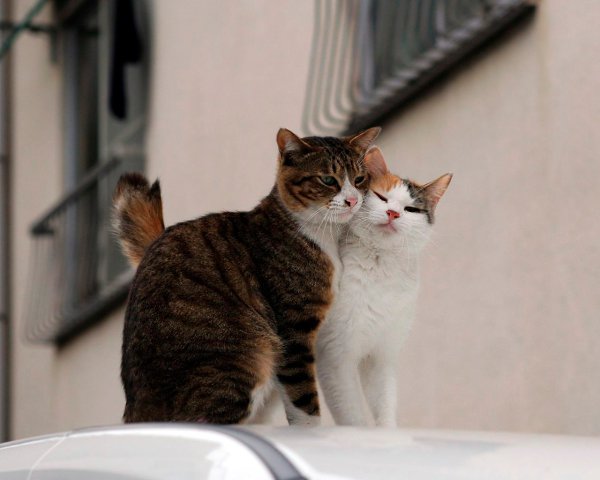    :3 - 3