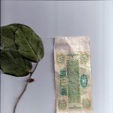 ���� �����, ������, 41 ��� - ��������� 11 ����� 2016 � ������ ���� ���� ������