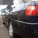 ���� ���������, �����������������, 41 ��� - ��������� 15 ������ 2016 � ������ ������ ��������