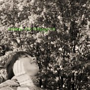 ����, 25 ���, ����