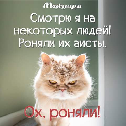   - 10  2016  23:19