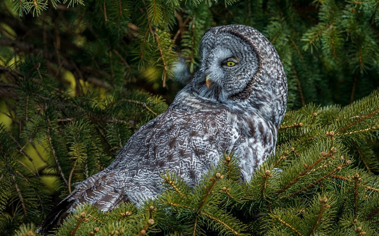 В мире животных - 17 апреля 2016 в 11:47