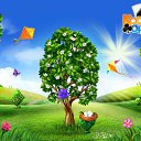  Maisa, , 61  -  1  2016    -