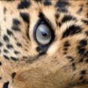 ���� �����.. � ����� ����� ������ � ������! !!!, ������ - ��������� 3 ������ 2016