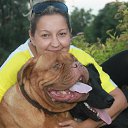 ���� ������ ������, ������, 53 ���� - ��������� 9 ���� 2016 � ������ ���� ����������