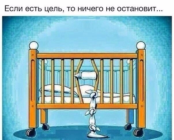 SportFeed - 15  2016  00:40