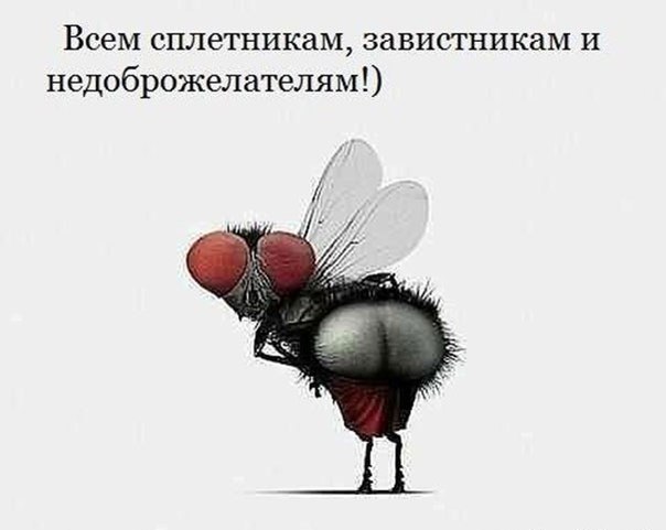     - 16  2016  17:07