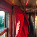 ���� Forest, ���� - ��������� 5 ��� 2016 � ������ ��������