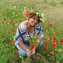 ���� ���������� ��������, ����������� - ��������� 28 ���� 2016