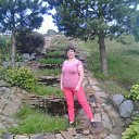 ���� ��������, �������, 41 ��� - ��������� 13 ����� 2016 � ������ ���� ����������