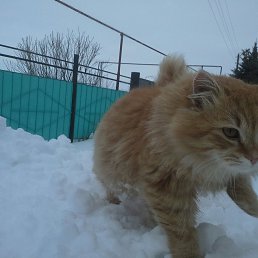 ������, ������, 47 ���