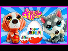 Surprise Show!!! Kinder Surprise - Sweet Box Puppy.    -    !