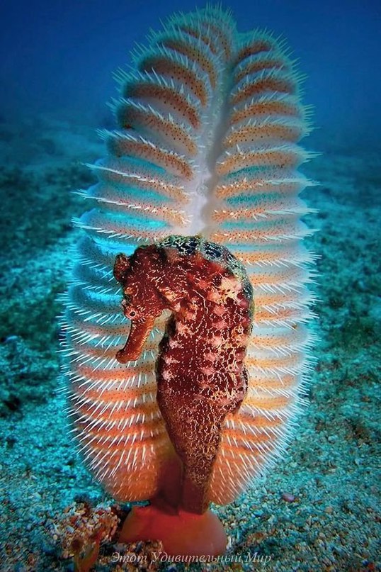 ����� ������� - 25 ����� 2016 � 18:14 - 5