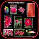 ���� Jana, ������, 68 ��� - ��������� 11 ����� 2016 � ������ ������ ��������