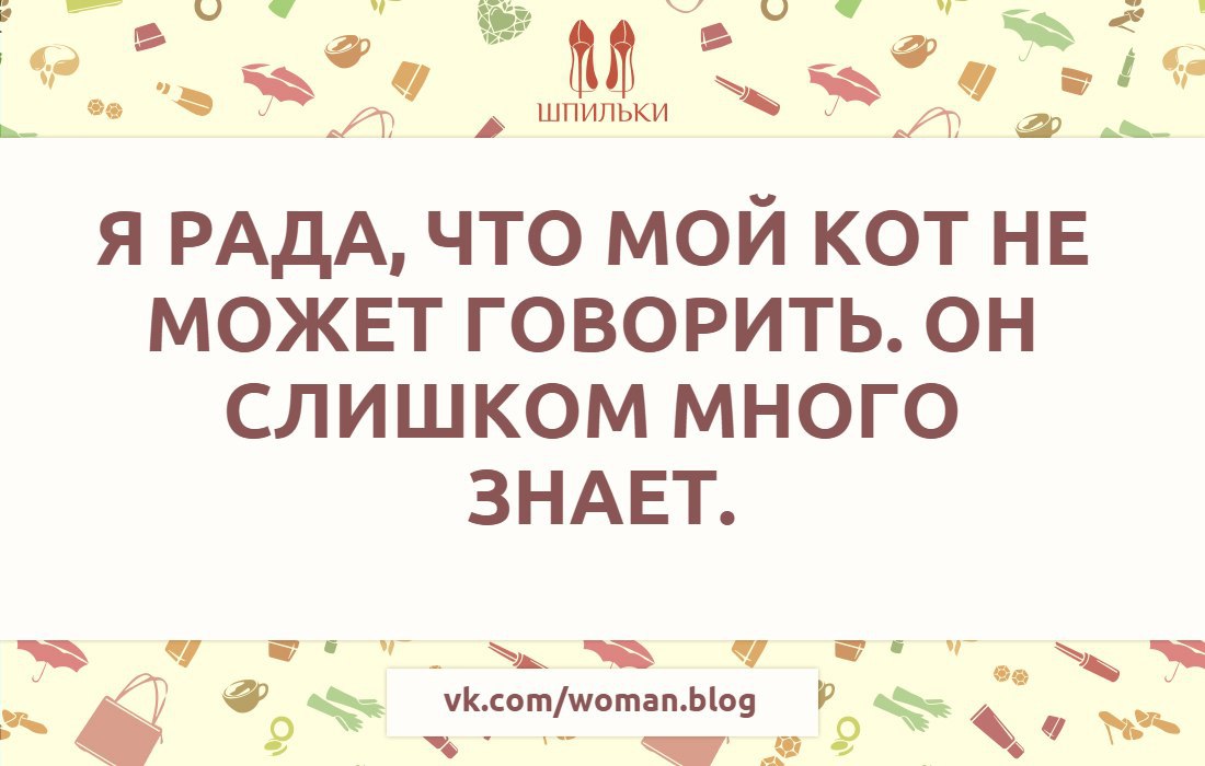  |   - 24  2016  13:16