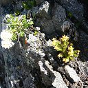 ���� �������, �����, 49 ��� - ��������� 16 ����� 2016 � ������ ���� ����������