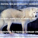 ���� ���, ����, 45 ��� - ��������� 29 ����� 2016 � ������ �����Ȼ