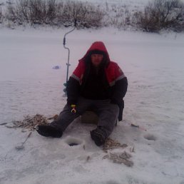 ��������, ���, 49 ���