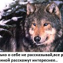 ���� ���, ����, 45 ��� - ��������� 29 ����� 2016 � ������ �����Ȼ