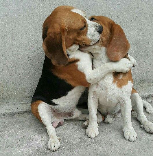 ))