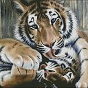  Vladimir,  -  20  2016    