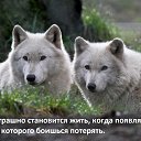 ���� ���, ����, 45 ��� - ��������� 29 ����� 2016 � ������ �����Ȼ