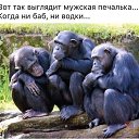 ���� ������, �������, 56 ��� - ��������� 5 �������� 2016 � ������ ������ ��������