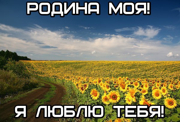 �������� ������ - 26 ���� 2016 � 22:58