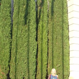 ���� �����, ������ - ��������� 28 ��� 2016