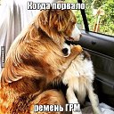 ���� �������, �����, 55 ��� - ��������� 3 �������� 2016 � ������ ������ ��������