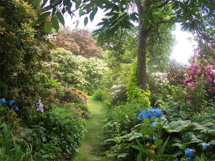    (Royal Botanical Garden)       .   ...