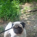 ���� Liana, �����������, 45 ��� - ��������� 14 ��� 2016 � ������ �������