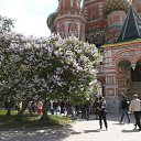 ���� ������, ����������, 69 ��� - ��������� 29 ��� 2016 � ������ ���� ����������