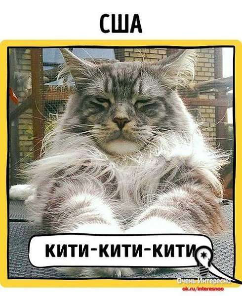 *. Кошки как правило говорят *мяу*... или *мя*.... Вообще то немцы особенно удивили... - 2