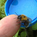 ���� Velvad, ���� - ��������� 30 ���� 2016 � ������ �VELVAD 19�