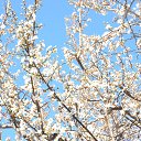 ���� Serg, �����������, 59 ��� - ��������� 2 ��� 2016 � ������ ���� ����������