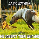���� �����, ������� - ��������� 8 �������� 2016 � ������ ���� ����������