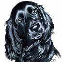 ���� ���, ������ - ��������� 24 ��� 2016 � ������ ���� ����������